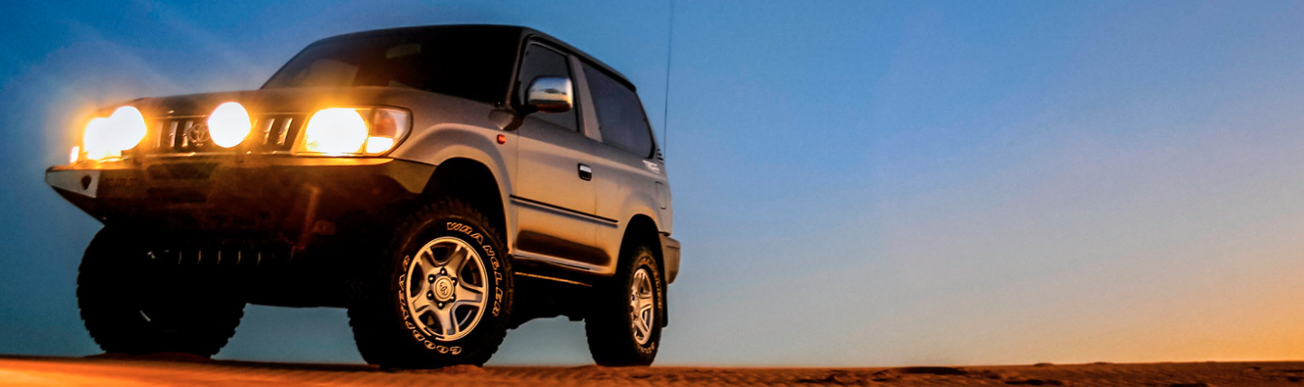 Sunsteer Power Steering - Logo