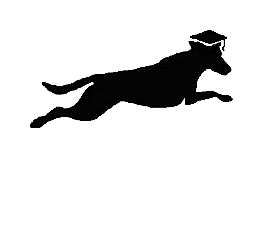 Super Nova Dog Training Academy - Logo