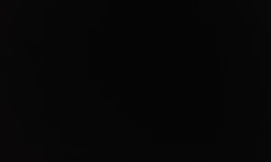 Suri Collections - Logo