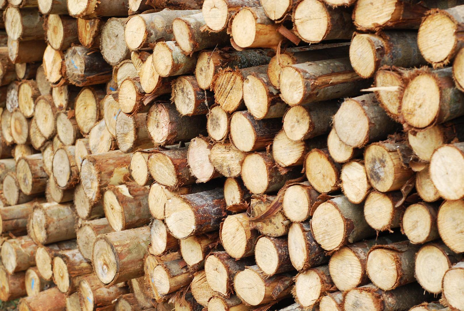 Surrey Hills Firewood Supplies - Logo