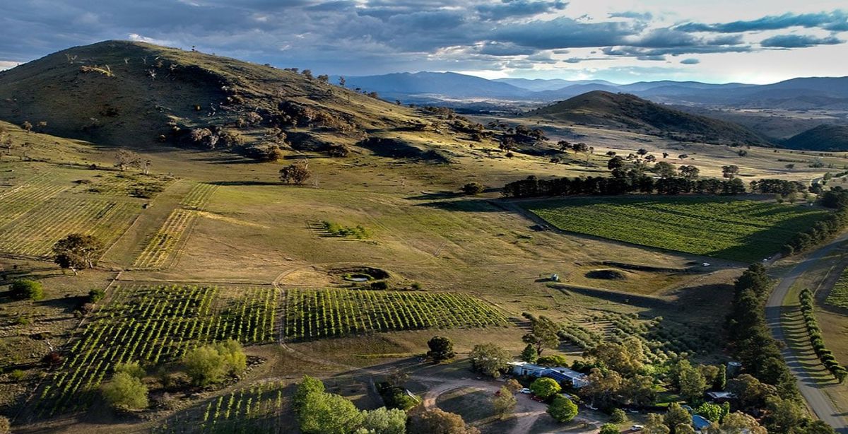 Surveyors Hill Vineyard & Restaurant - Logo