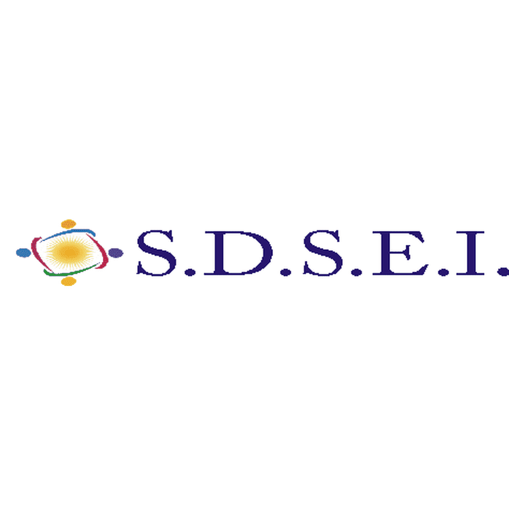 Swami Dayanand Saraswati Educational Institute (SDSEI) - Logo