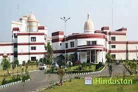 Swami Devi Dyal Institute Of Engineering - Logo