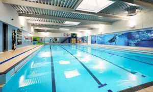 Swimlife Swimming Academy - Logo