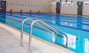 Swimlife Swimming Academy - Logo