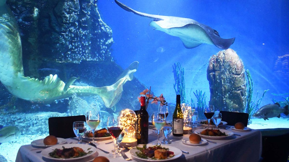 Sydney Aquarium Private Dining - Logo