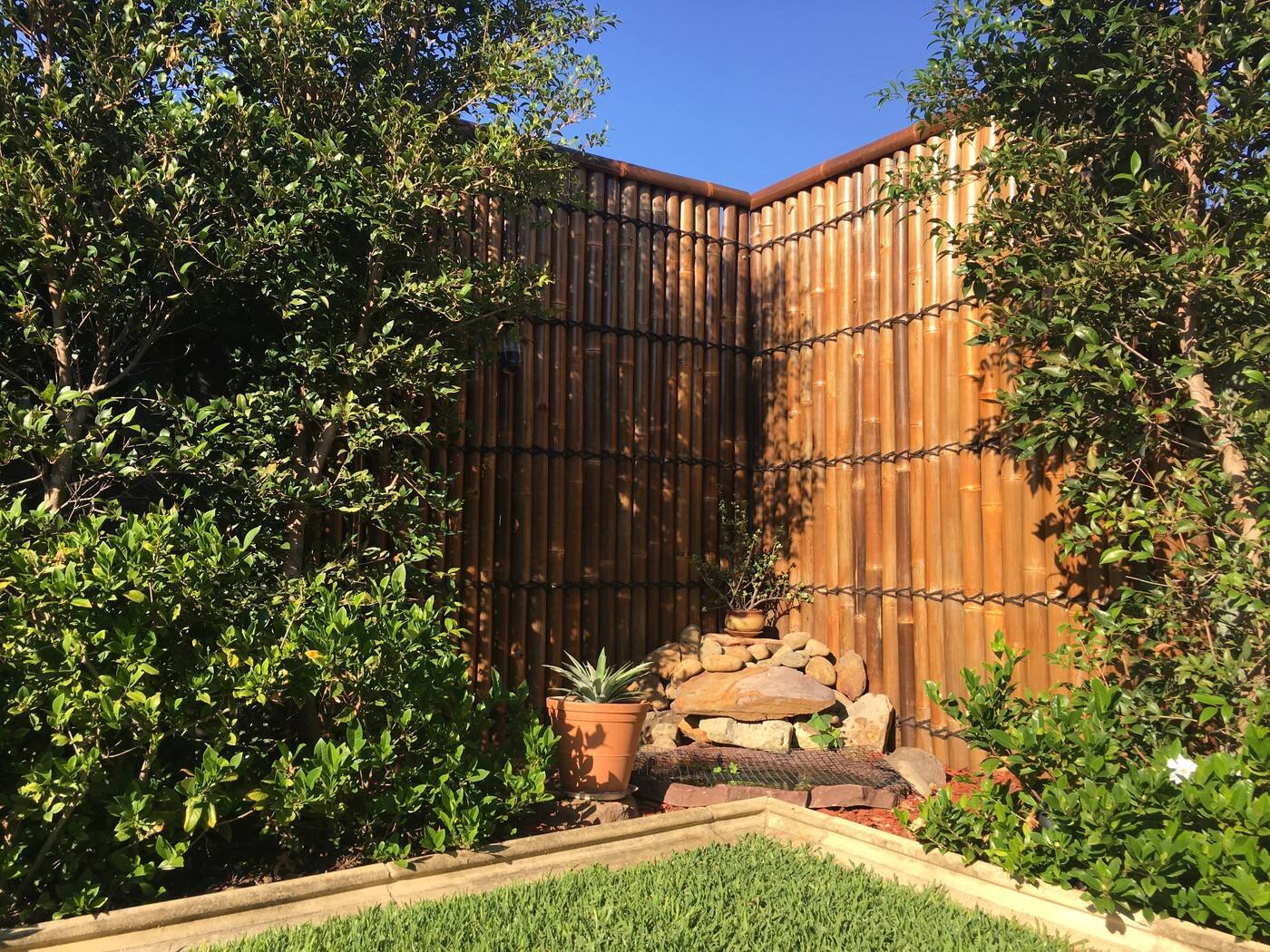 Sydney Bamboo Fencing - Cover photo