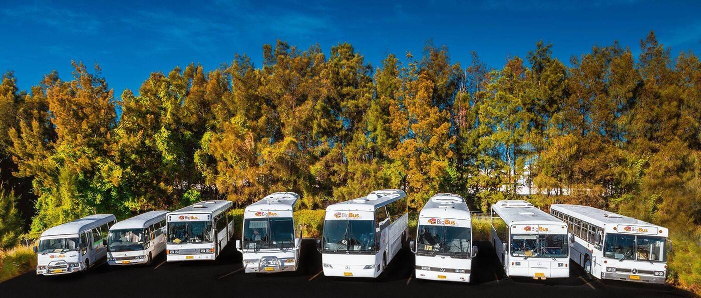 Sydney Big Bus Co. - Logo