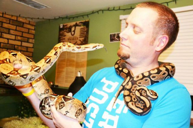 Sydney Snake Adventures - Cover photo