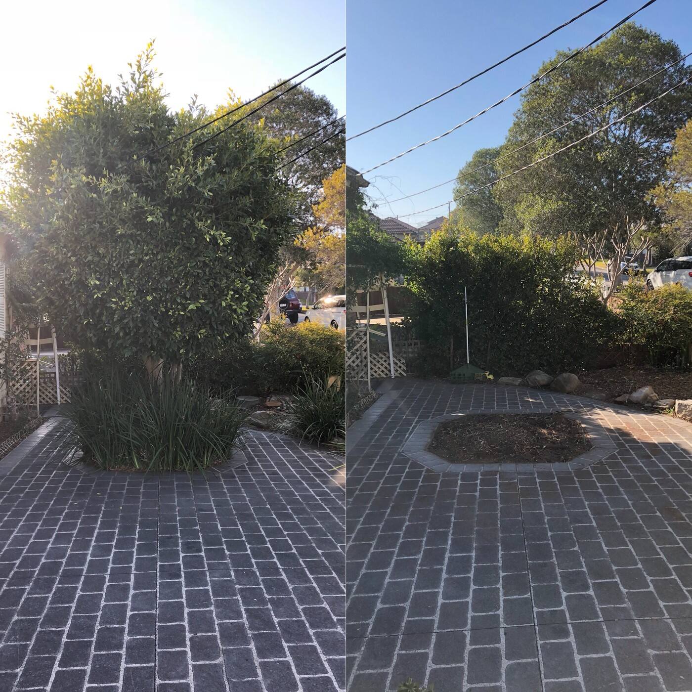 Sydney Stumps - Cover photo