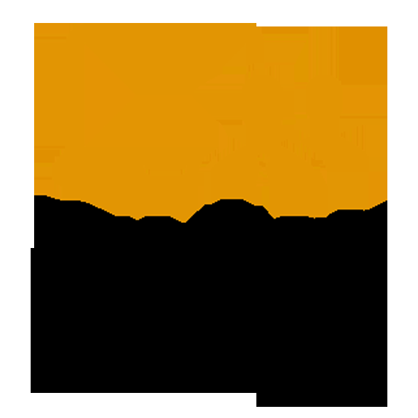 Sydor Consulting - Logo