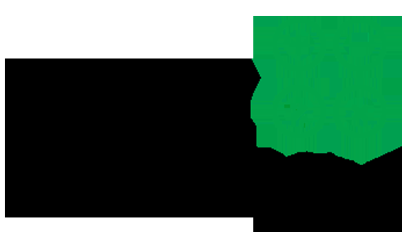 Syed Accounting - Logo
