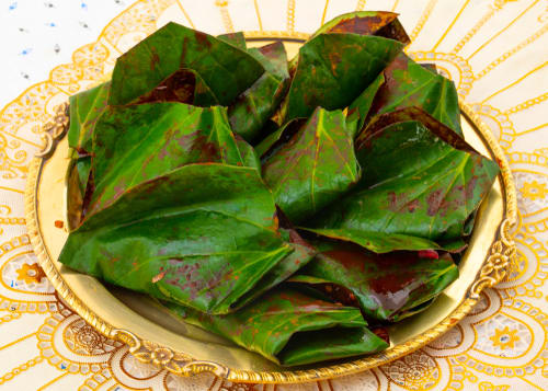Symphony Paan House - Logo