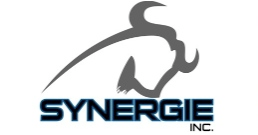 Synergie Inc. - Logo