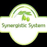 Synergistic System - Logo