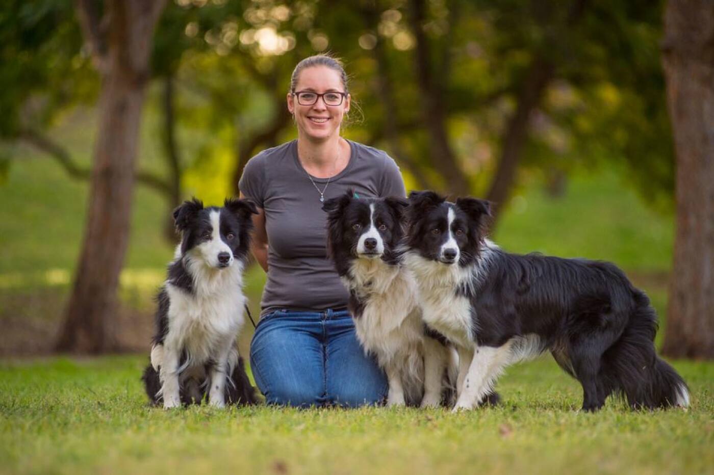 Synergy Dog Training - Cover photo
