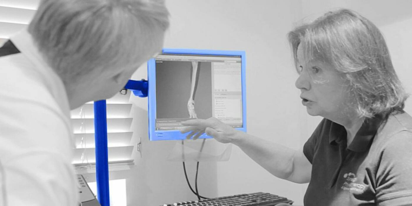 Synergy Physio - Cover photo