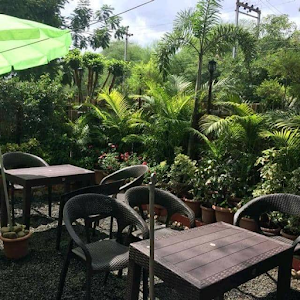 Taas Greens - Cover photo