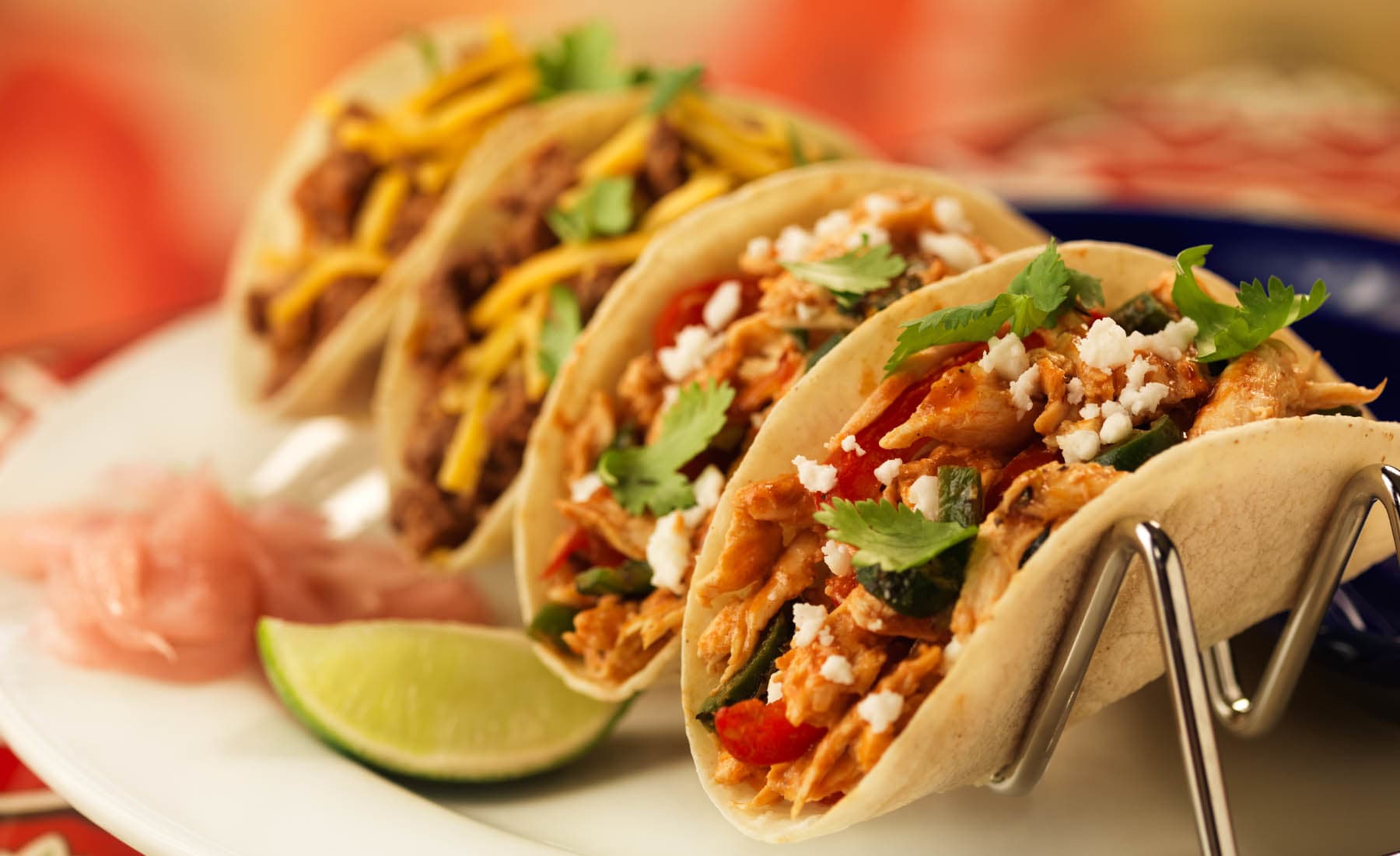 Tacos land - Logo