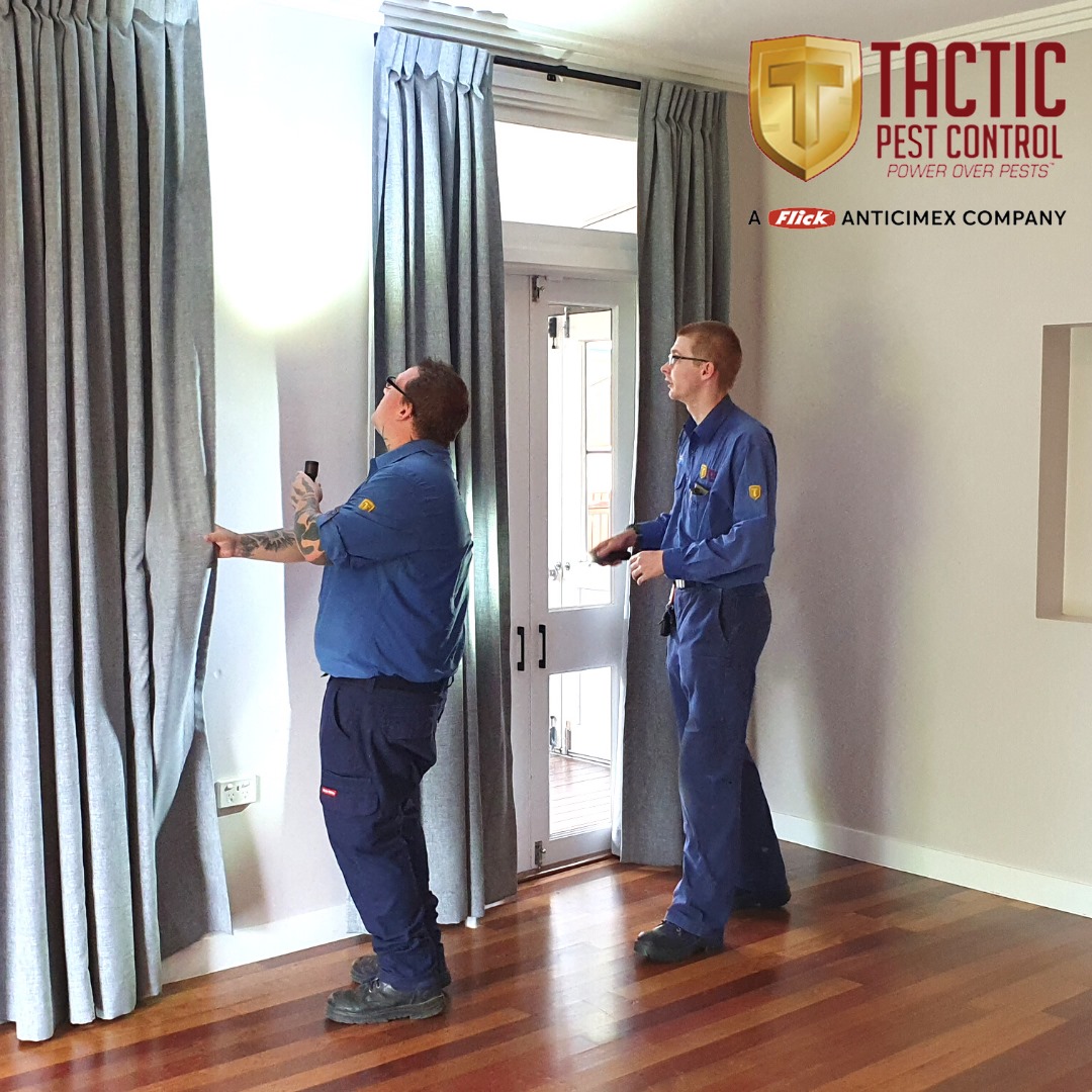 Tactic Pest Control - Logo