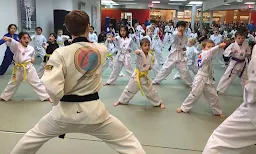 Taekwondo Mathikere School - Logo