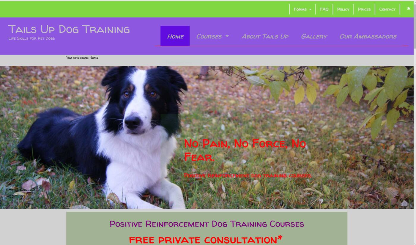 Tails Up Dog Training - Cover photo