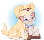 T &a; K Pet Services - Logo