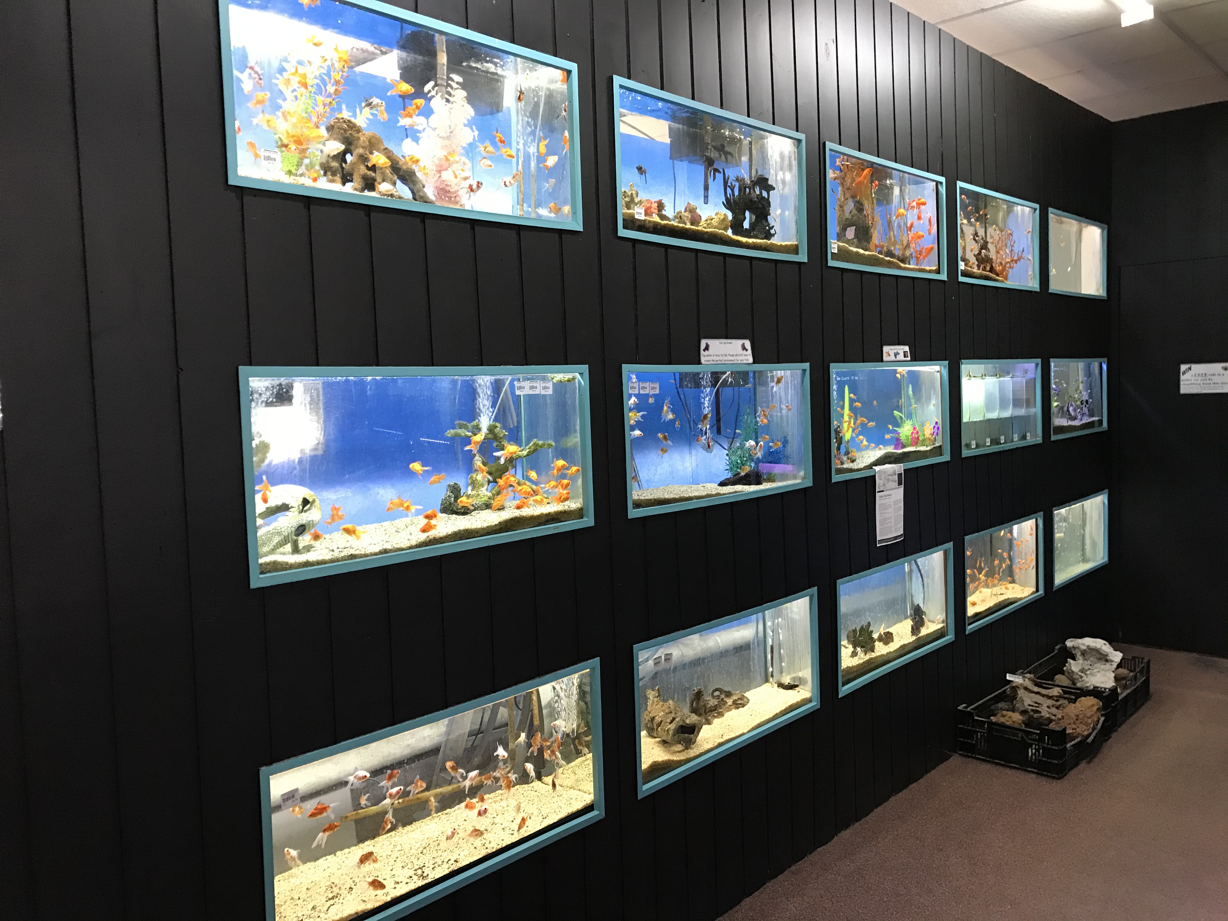 Tamworth Pet Centre - Cover photo