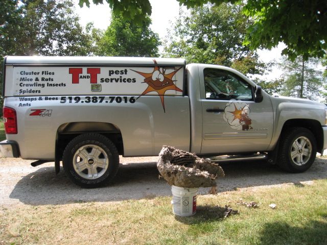 T and T Pest Services Ltd - Cover photo