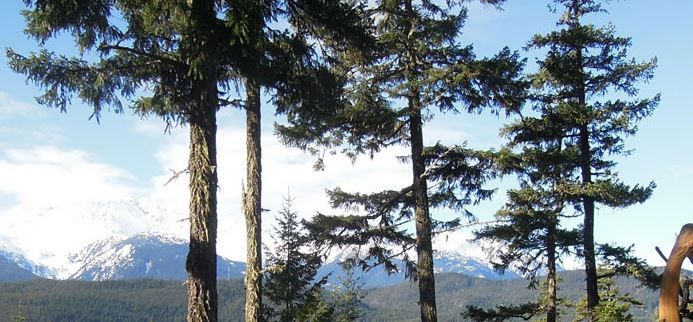 Tantalus View Retreat - Logo