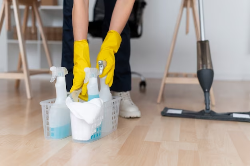 Tanush house cleaning services - Logo