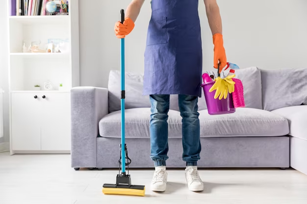 Tanush house cleaning services - Cover photo