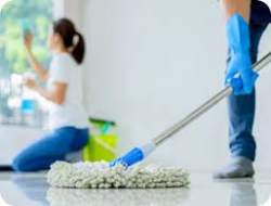 Tanush house cleaning services - Logo