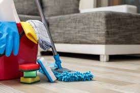 Tanush house cleaning services - Cover photo