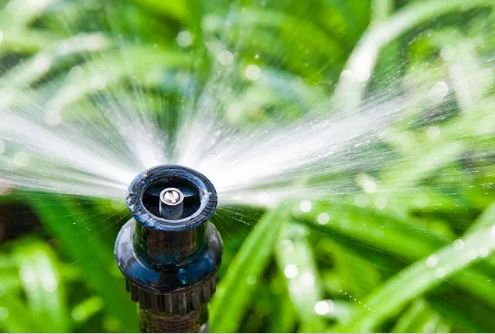 Taree Pumps & Irrigation - Logo