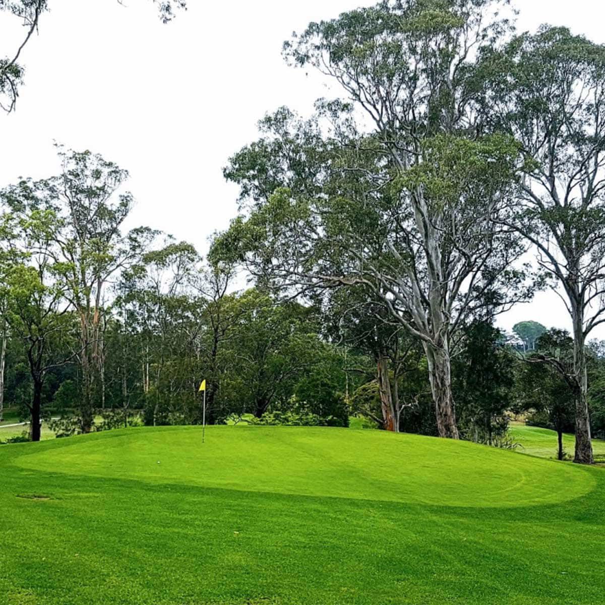Taree RSL and Golf Club - Logo