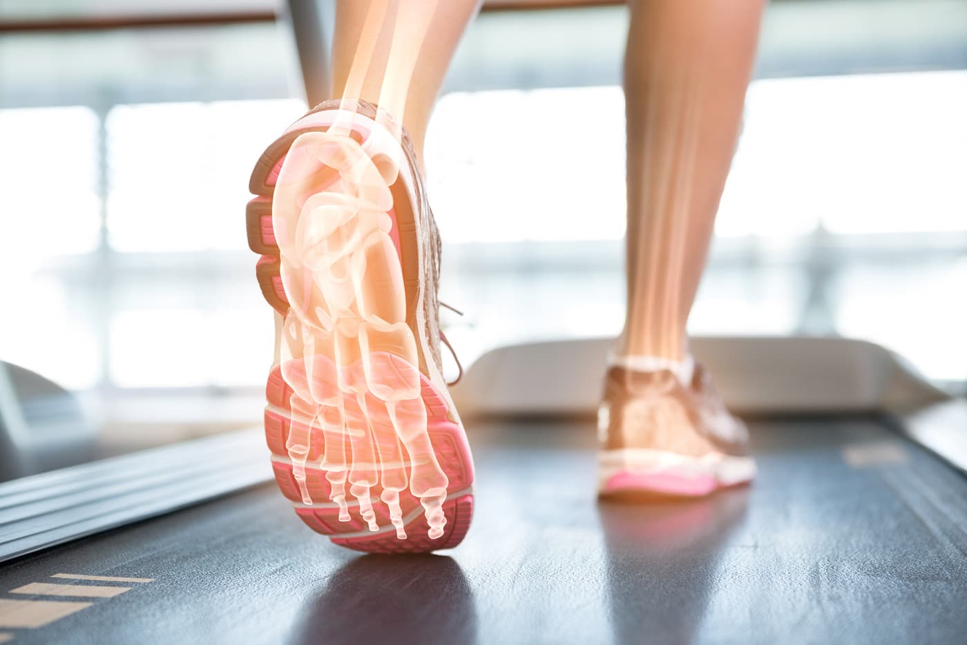 Tasmanian Foot & Ankle Clinic - Logo