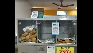 Taste Of Indore - Logo