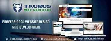 Taurus Web Solutions - Cover photo