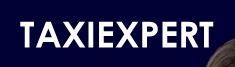 TAXI EXPERT DOME 4182 - Logo