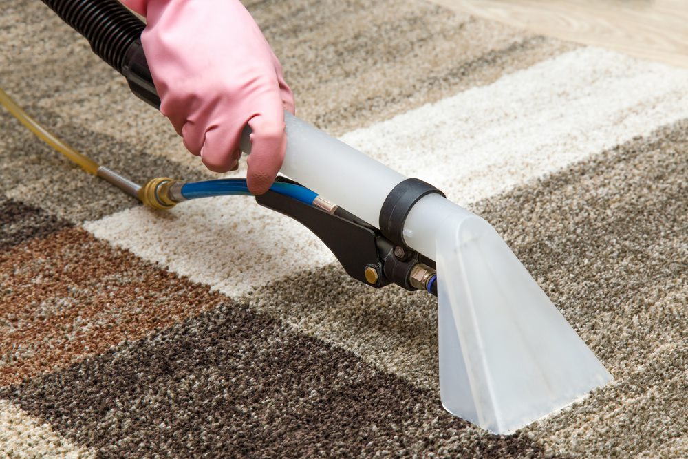 TCM Carpet & Cleaning - Logo