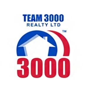 Team 3000 Realty Ltd - Logo