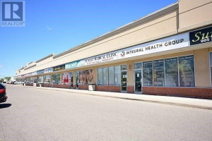 Team Ali - RE/MAX Real Estate Centre - Logo