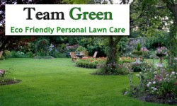 Team Green Lawn Care - Logo