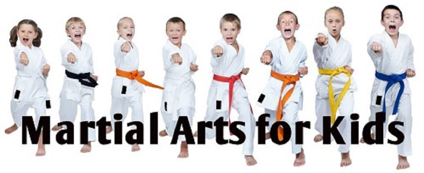 Team Martial Arts Taekwondo - Cover photo