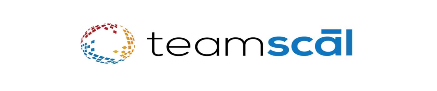 Teamscal - Cover photo