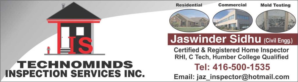 Technominds Inspection Services Inc. - Logo