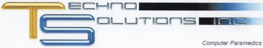 Techno Solutions Inc, Computer Paramedics - Logo