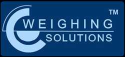 Technoweigh India 445001 - Logo