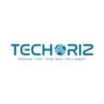 Techoriz - Logo